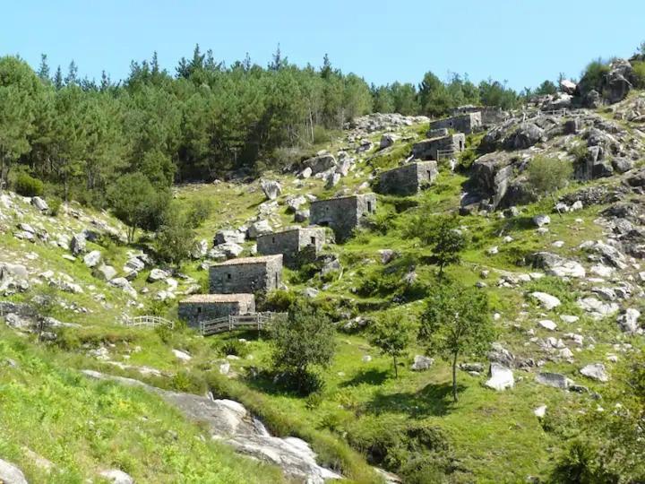 Camino De La Costa